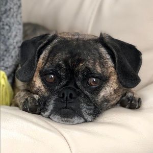 Meet your Posher, Wei